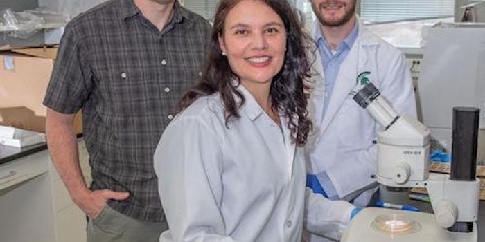 Common Antibacterial Chemical may Help Fight Lung Infections