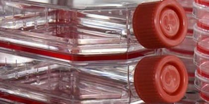 Using Cranberries and Citrus to Remove Viruses From Food