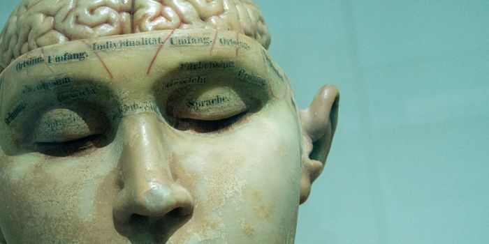 COVID-19 Affects Brain in 36% Patients