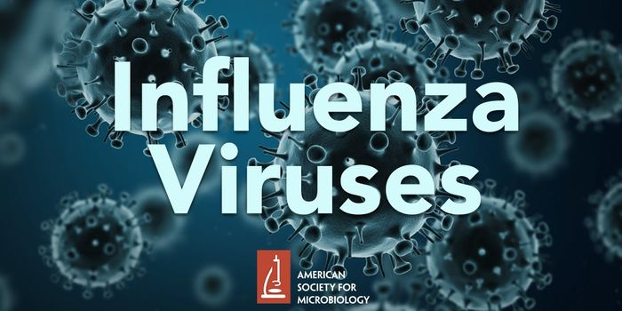 All About Flu Viruses