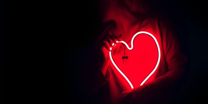 Computer Model Predicts How Drugs Affect Heart Rhythm