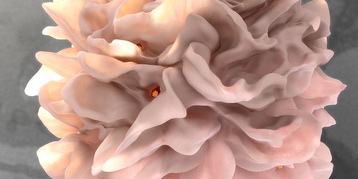 Dendritic Cells Prevent Friendly Fire in the Immune System