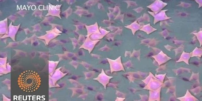 High hopes for space grown stem cells