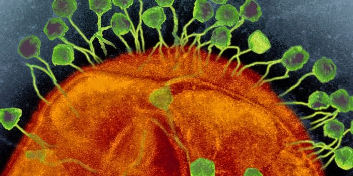 Gauging Genomic Gain