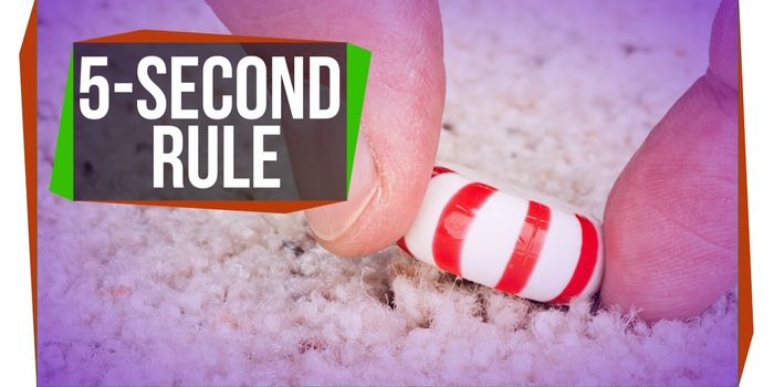 How Legit is the Five-Second Rule?