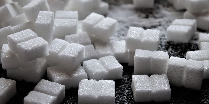 How Do Non-Caloric Sweeteners Impact Appetite? A Brain Imaging Study