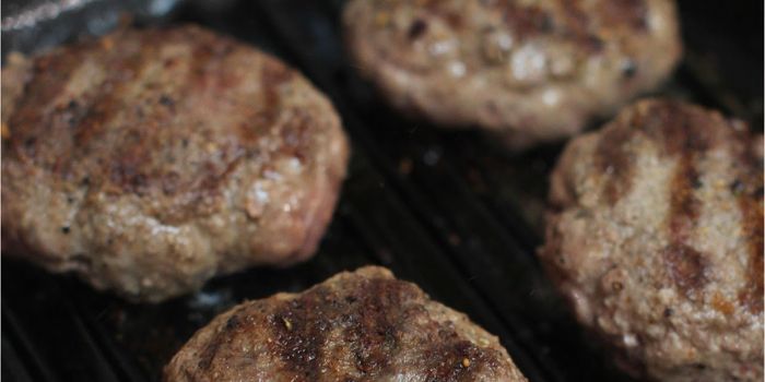 Thousands of Pounds of Ground Turkey are Recalled