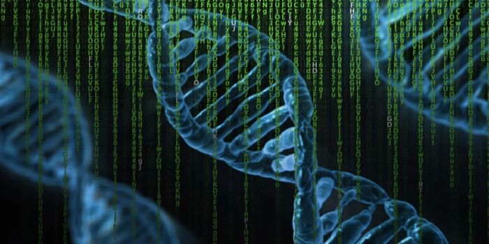 Genetic Tests That Look for Rare, Disease-Causing Variants are Usually Wrong