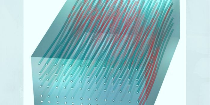 4-D Genie Out Of 2-D Bottle