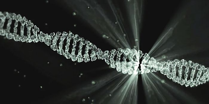 Evolution Observed in Fish in a Single Generation