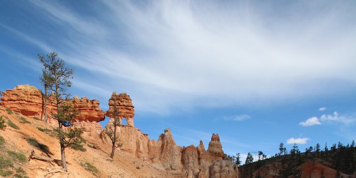 It's Very Likely That Clouds Will Make Global Warming Worse