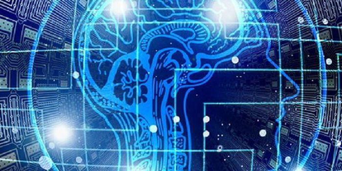 Your Brain Has an Organizational Chart