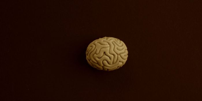 Depression Linked to 19% Lower Taurine Levels in the Hippocampus