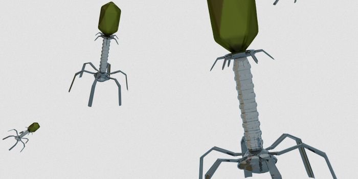 Thousands of Viruses Call the Human Gut Home