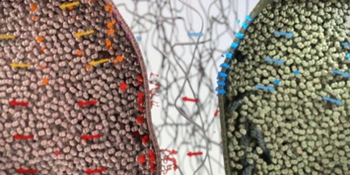 How Healthy Cells Become Cancer's Unwitting Allies