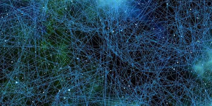 The Genetics Underlying Brain Architecture