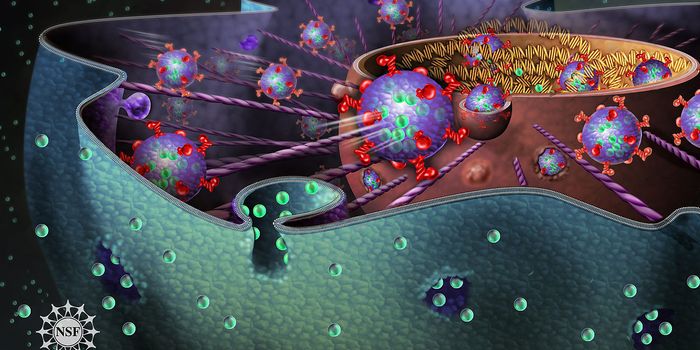 Secrets of Cocaine Exposure Revealed with Subcellular Resolution