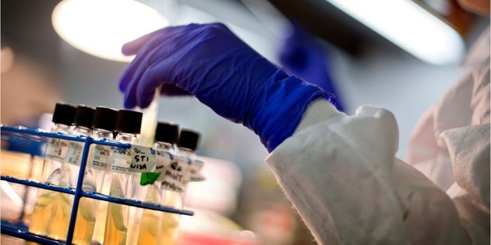 Deadly Microbe Identified in Hong Kong Outbreak