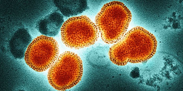 This Anti-Flu Antibody Cocktail Could Change Virus Treatment