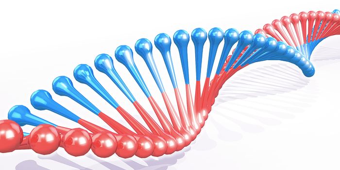 Using Genetics to Predict Height, Bone Density, Educational Attainment