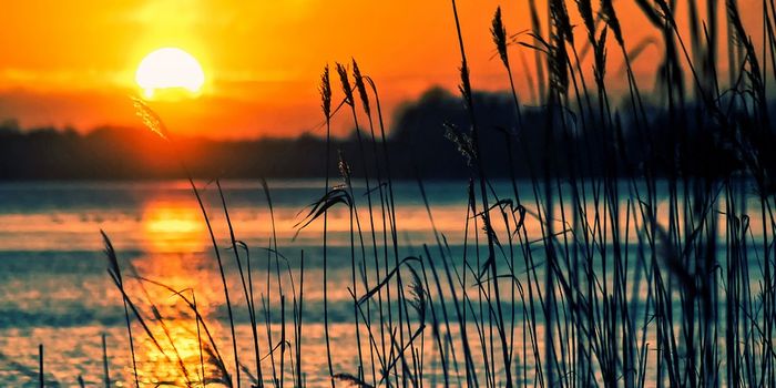 What's at The Bottom of The Worlds Deepest Lake?