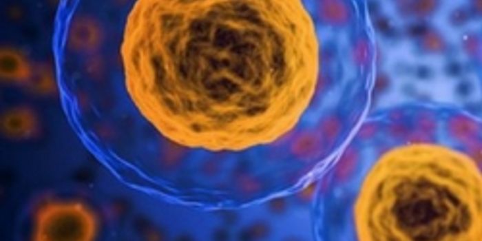 Kill Cancer Gently, Kill Cancer More Completely