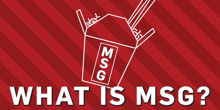 Why Do We Hate that We Love MSG?