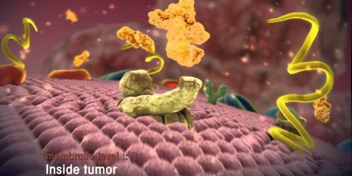 Radiopeptides destroy tumor cells