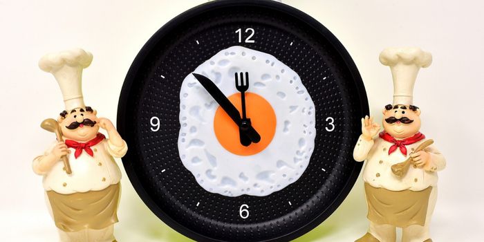 The Gut Deploys Protective Mechanisms in Coordination with Your Mealtime Habits