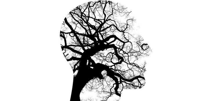 Lab-grown Neurons Help Uncover the Genetic Changes Underlying Mental Illness