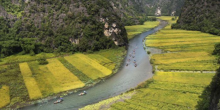 Regional disparities in environmental NGOs