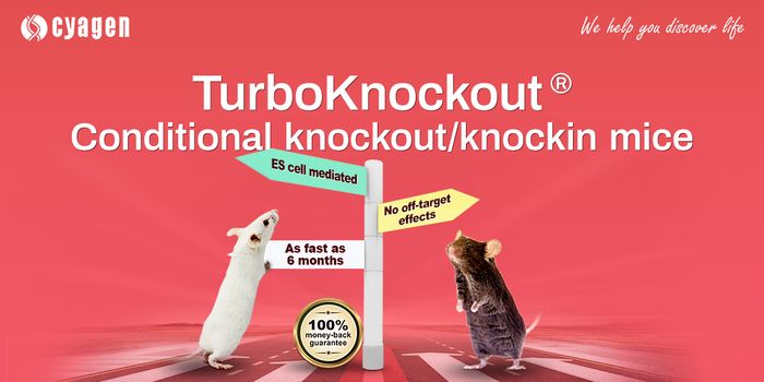 What is TurboKnockout® Gene Targeting Technology?