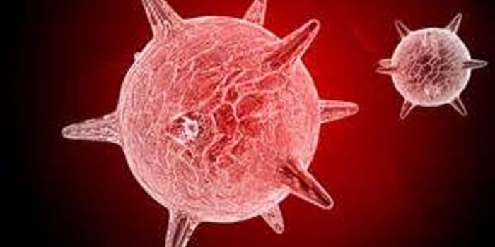 Promising Experimental Herpes Vaccine Upends Traditional Approach