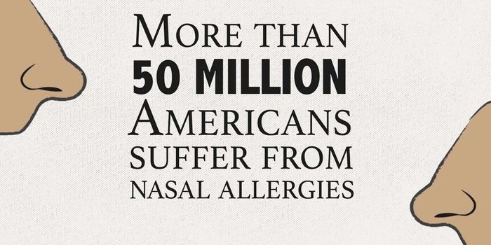 Identifying the Cells That Cause Allergies