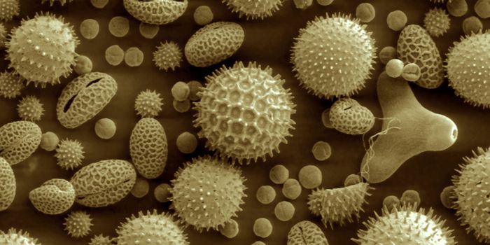 Gene Therapy Could be the Answer for Severe Allergies