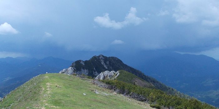 There Are More Plants on Europe's Mountaintops Than Ever, Study Finds