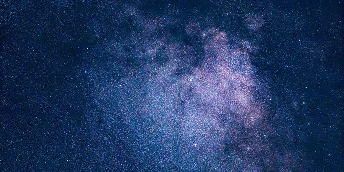 The Difference Between a Low Mass Star and a Brown Dwarf