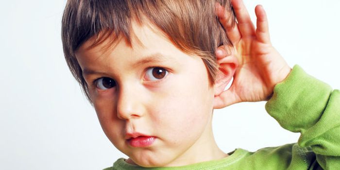 Treating Hearing Loss: A Set of Inhibiting Drugs Provide Promising Results