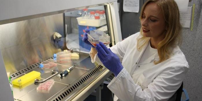 A Detailed Study of a Crucial Cellular Editor: The Spliceosome