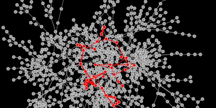 Free Website to Study Metabolism and Genes Now Online