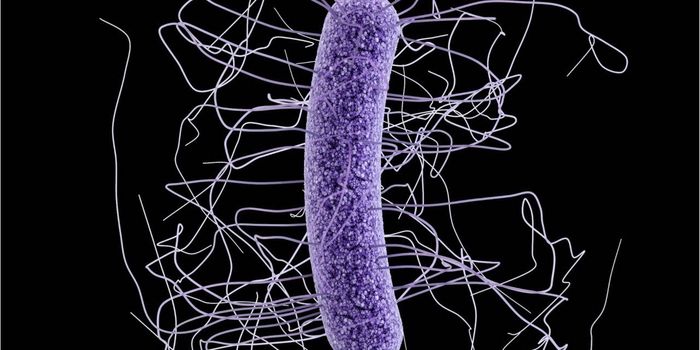 Patient Dies After Fecal Transplant