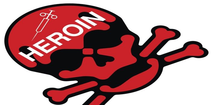 Anti-Opioid Vaccine is in Testing