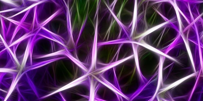 Neuroscientists create a stunning digital map of 1,000 neurons