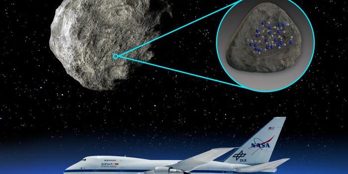 Water Molecules Detected on Asteroids: Insights from SOFIA Data