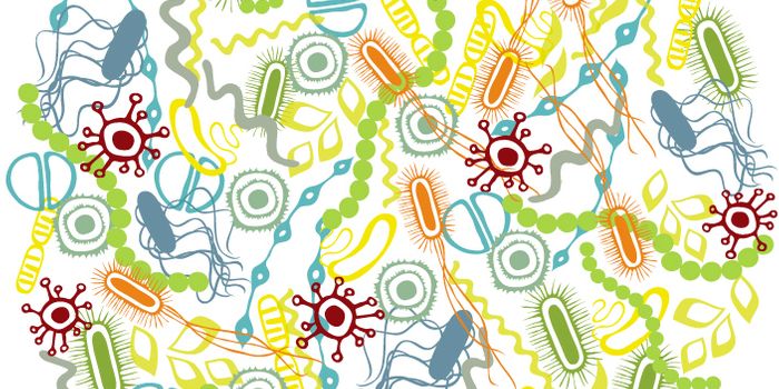 The Appendix Isn't So Vestigial After All