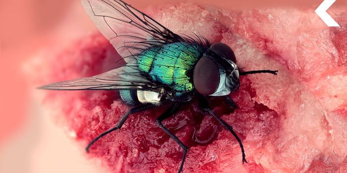 Microbes as a Tool in Forensic Science