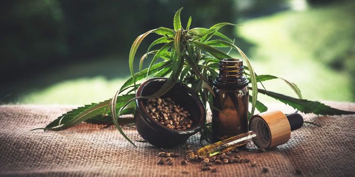 Half of CBD Users Test Positive for THC in Urine Tests