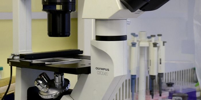 Herpes Virus Helps Improve Immune Cell Therapy