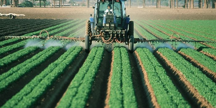 The US fails to ban harmful pesticides