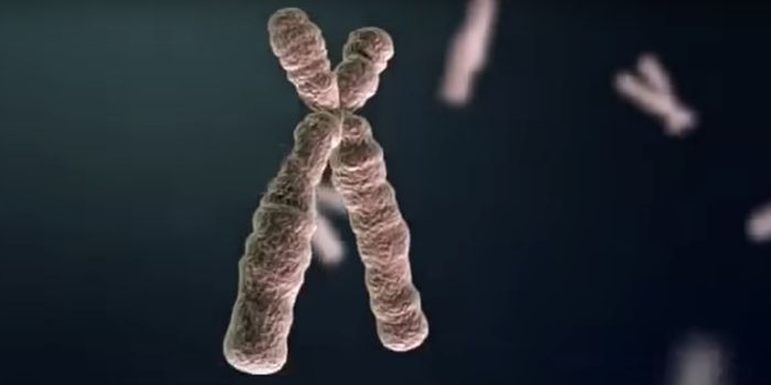 CRISPR Used Inside of a Patient For the First Time